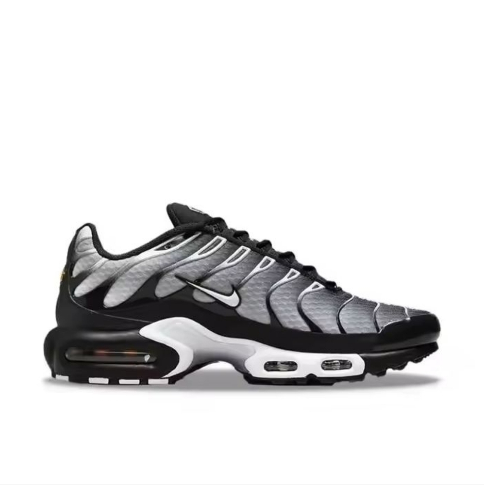 Nike air max plus black silver white